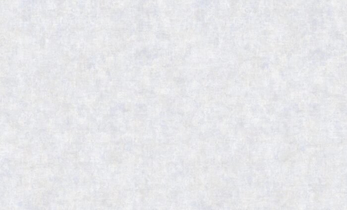 91081