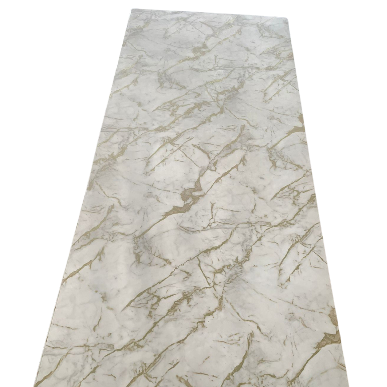 MLK-Risen-50094 MLK Risen 50094